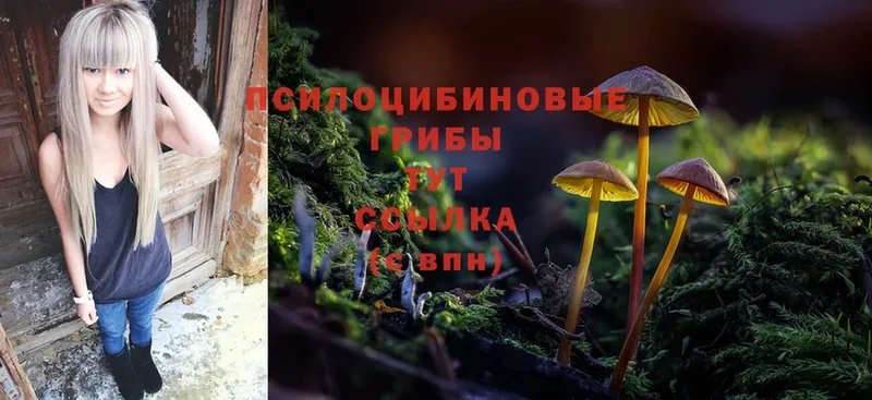 Галлюциногенные грибы Cubensis  хочу   Лиски 